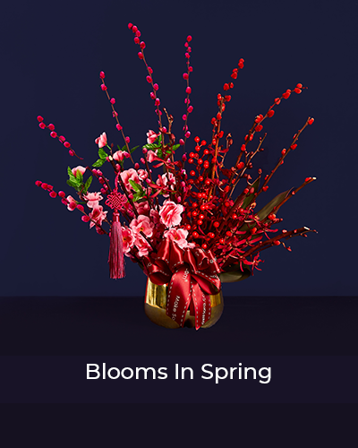 https://interflora.sg/wp-content/uploads/2024/01/blooms_in-_spring.png